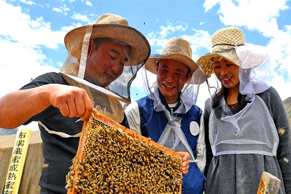 སྦྲང་མ་གསོ་སྐྱོང་ལ་བརྟེན་ནས་ཕྱུག་པོའི་ལམ་དུ་བསྐྱོད་པ།