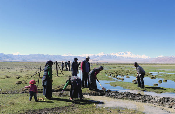 ཇོ་མོ་གླང་མའི་འདབས་ཀྱི་ལྗང་མདོག་སྲུང་མཁན།