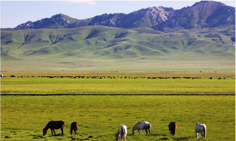  མཛོད་དགེའི་མཐོ་གྲང་བརླན་སའི་སྐྱེ་ཁམས་མ་ལག་རྒྱལ་ཁབ་རི་ཐང་ཚན་རིག་ལྟ་ཞིབ་ཚད་ལེན་ཞིབ་འཇུག་ས་ཚིགས་ཀྱི་སྒོ་བྱང་བཀལ་བ།