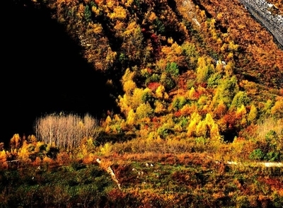 རྔ་བ་ཁུལ་གྱི་ཆེས་ཐོག་མའི་ཞིང་བའི་དཔེ་ཁང་མའོ་རྫོང་དུ་བཙུགས་པ། 