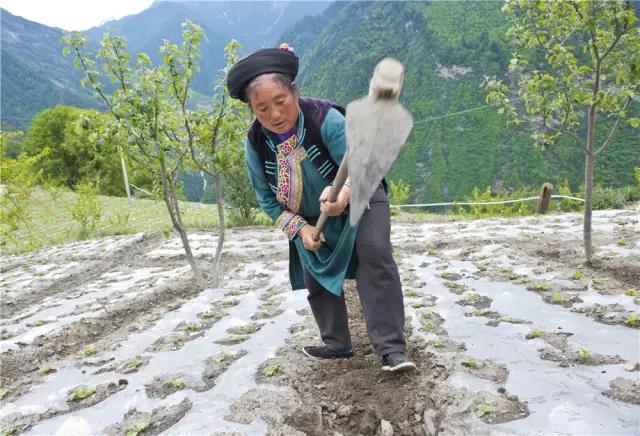  བྱམས་དང་བརྩེ་བས་ཁྱིམ་གཞིས་བསྐྱངས།