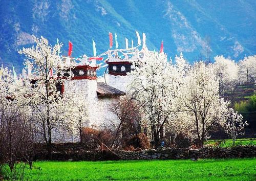 ཞིང་ཆེན་ཡོངས་ཀྱི་མི་རིགས་ས་ཁུལ་གྱི་སྐྱེས་ཁམས་ཁོར་སྲུང་དང་ཁུལ་ཡོངས་ཀྱི་ཡུལ་སྐོར་འཕེལ་རྒྱས་ལས་ཀའི་བཞུགས་མོལ་ཚོགས་འདུ་ཞི་ཁྲང་དུ་འཚོགས་པ། 