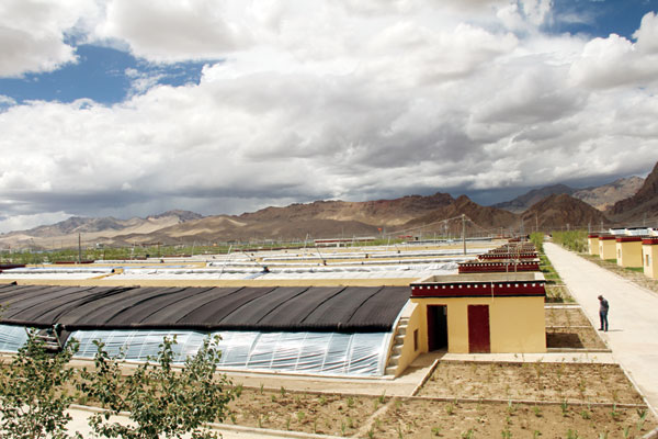 སེང་གེ་ཁ་འབབ་འདབས་རོལ་ནས། སྔོ་ཚལ་སོས་པའི་དྲི་ཞིམ་འཐུལ།