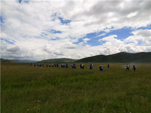 ཁྱུང་མཆུ་རྫོང་དུ་རྩྭ་སའི་གནོད་འབུ་འགོག་བཅོས་བྱེད་པའི་ལས་ཀ་སྤེལ་བ། 