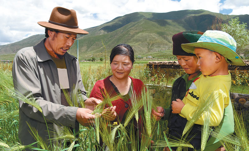 རྣམ་གྲངས་ལ་དམ་འཛིན་གྱིས་འབབ་འཕར་ལ་སྐུལ་འདེད་བཏང་བ།