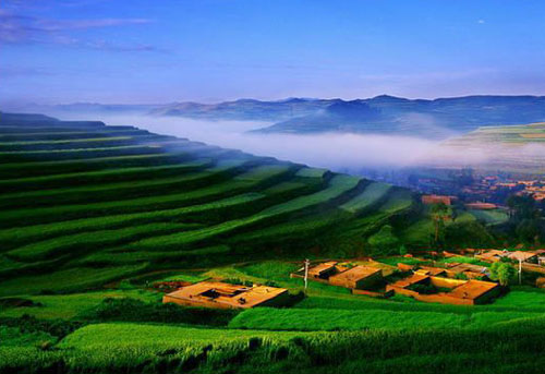 མཛེས་སྡུག་སྐྱེ་ཁམས་ལ་བརྟེན་ནས་ཕྱུག་འགྱུར་གྱི་ཐབས་ལམ་འཚོལ་དགོས།