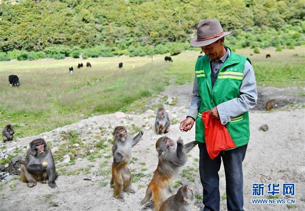 བོད་ལྗོངས་ཀོང་པོ་རྒྱ་མདའ་རྫོང་གི་སྤྲེའུ་ཡི་དགའ་ཚལ། 