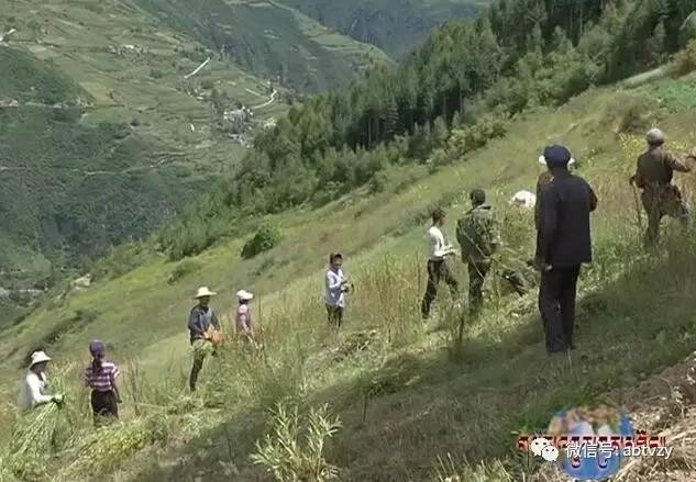 བཙན་ལྷ་རྫོང་གིས་སྣོད་བཅུད་ཡོངས་སུ་བཀོལ་ནས་མང་ཚོགས་ལ་ཕན་པར་གྱུར། 