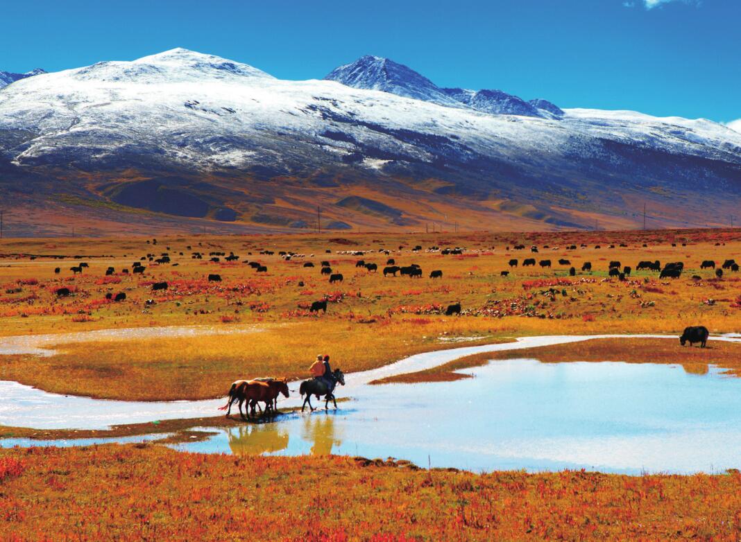 རང་ཁུལ་གྱི་ཁོར་ཡུག་སྲུང་སྐྱོང་གི་ལྟ་ཞིབ་གནད་དོན་དག་བཅོས་བྱས་ནས་ཕན་འབྲས་མངོན་གསལ་ཐོབ་ཡོད།