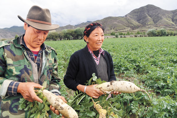 དེང་རབས་ཅན་གྱི་ཞིང་ལས་འཕེལ་རྒྱས་བཏང་སྟེ་ལ་ཕུག་གྲོང་རྡལ་གཏོད་པ།