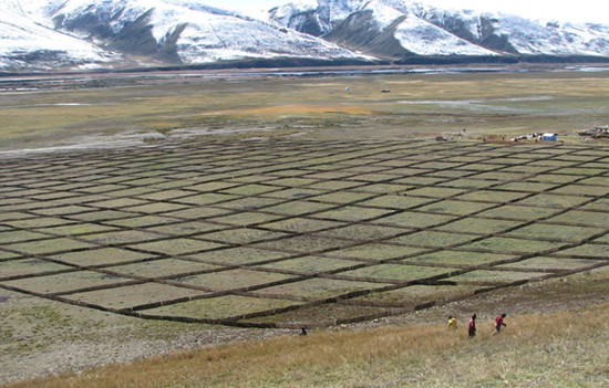 སི་ཁྲོན་ནུབ་རྒྱུད་བོད་རིགས་ས་ཁུལ་གྱིས་ལོ་བཞི་ཡི་རིང་ལ་བྱེ་འགྱུར་ས་ཆ་མུའུ་ཁྲི65ལྷག་བཅོས་སྒྲིག་བྱས་པ།