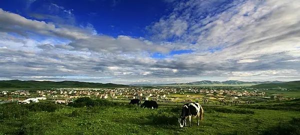 སྔོ་ལྗང་གི་ཁྱིམ་གཞིས་སྐྱོང་བ།