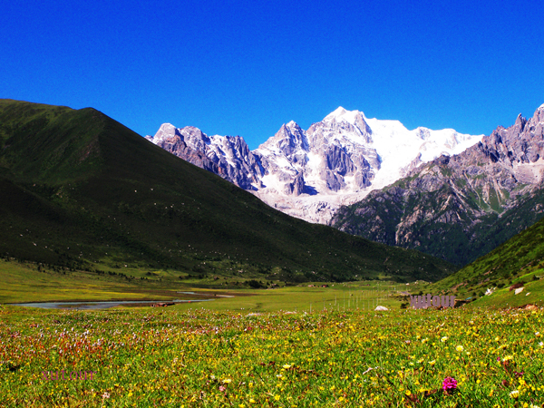  འབད་བརྩོན་ཧུར་ཐག་བྱས་ཏེ་འགག་སྒྲོལ་ལས་ཀའི་འགན་འཁྲི་ཕྲག་ཏུ་ཁུར།