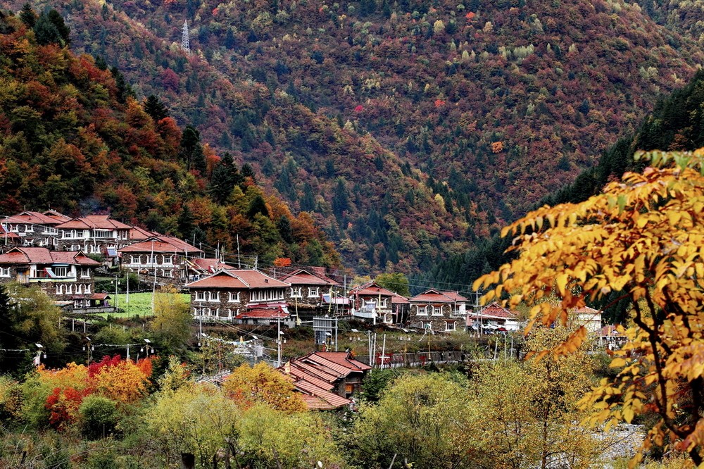 ཁྲོ་ཆུ་རྫོང་གིས་ཞིང་བ་རྣམས་ལ་འབྲུ་མཛོད་སྦྱིན་པ།