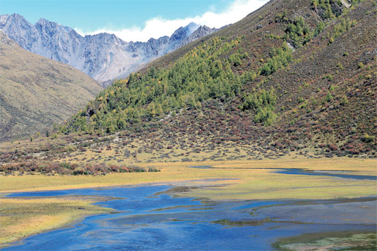 སྐུ་བླ་རི་བོའི་སྟོན་ཉམས། 