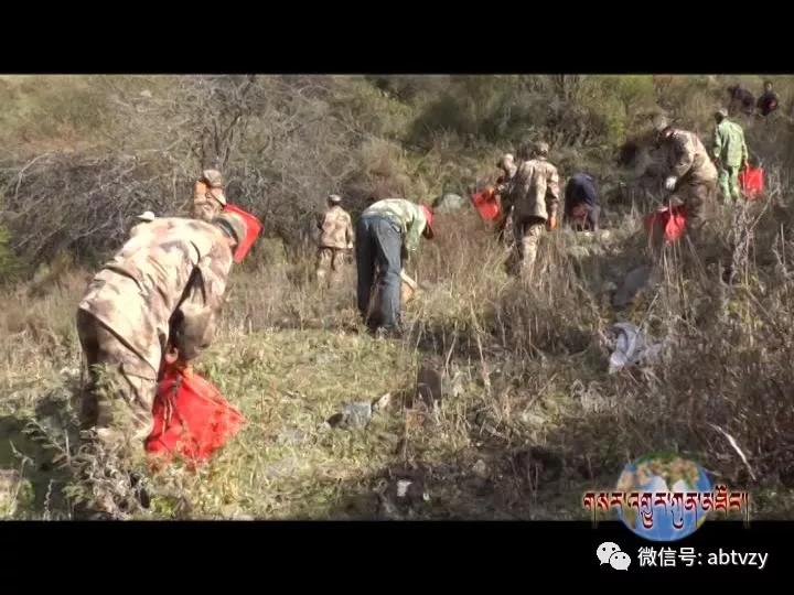  ཛམ་ཐང་ནགས་ལས་ཅུས་ཀྱིས་བྱེ་འགོག་གི་རྣམ་གྲངས་ལ་སྐུལ་འདེད་བཏང་།