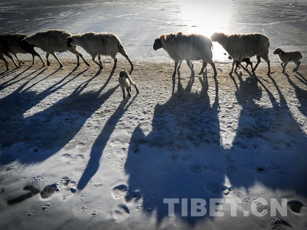  འཁྱགས་མཚོའི་སྟེང་རུ་སྤོ་བའི་འབྲོག་པ། 