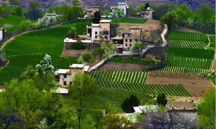 འདས་པའི་ཟླ་བ10ནང་དཀར་མཛེས་ཁུལ་གྱི་གཙོ་གནད་ལས་གཞི་ཐད་མ་དངུལ་འཇོག་རྒྱུ་སྒོར་དུང་ཕྱུར262.67གྲུབ་པ།