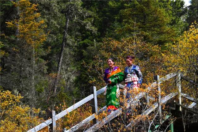 སྲིད་པའི་ཕང་བར་མཛེས་སྡུག་གིས་འཁྱིལ་བའི་མཁའ་ལུང་ཁོག