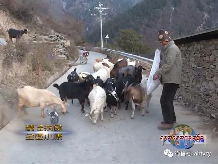  ཁྲོ་ཆུ་རྫོང་ངོ་བཀའ་སྡེ་བ་དབུལ་ཕོངས་ནས་སྒྲོལ་བར་ཇུས་གཞི་བཀོད་པ།