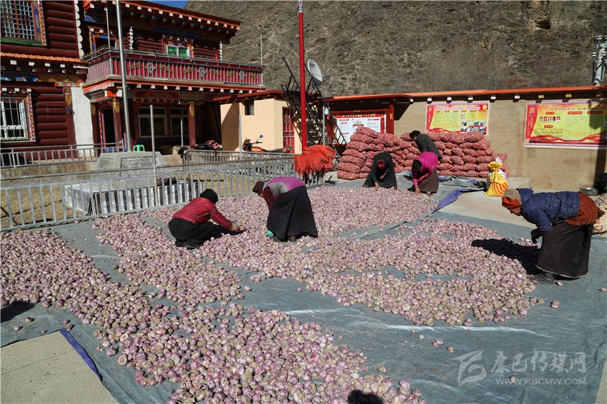 སྒོག་པར་བརྟེན་ནས་ཕྱུག་འགྱུར་གྱི་ལམ་དུ་བསྐྱོད་པ། 