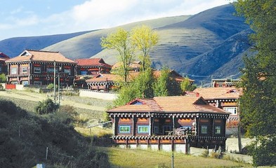 ཞིང་ཆེན་གྱི་དབུལ་སེལ་འགག་སྒྲོལ་འགོ་ཁྲིད་ཚན་ཆུང་གིས་གྲོས་ཚོགས་ཐེངས་ཉི་ཤུ་པ་ཚོགས་པ།