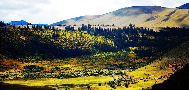 ལི་ཐང་རྫོང་དགའ་བ་གྲོང་རྡལ་གྱིས་གློག་རྡུལ་ཚོང་དོན་གྱི་གསོ་སྦྱོང་འཛིན་གྲྭ་བཙུགས།