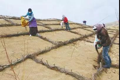 མཛོད་དགེ་རྫོང་གི་རྩྭ་ཐང་བྱེ་འགྱུར་འགོག་བཅོས་ཀྱི་མཐོང་ཐོས།