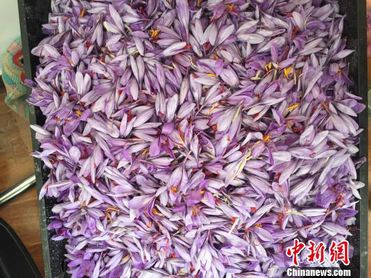 ཁ་ཆེ་གུར་གུམ་གྱིས་གངས་ལྗོངས་མཐོ་སྒང་གི་རྫོང་དབུལ་ཕོངས་དག་དབུལ་ཕོངས་ལས་སྒྲོལ་བ། 
