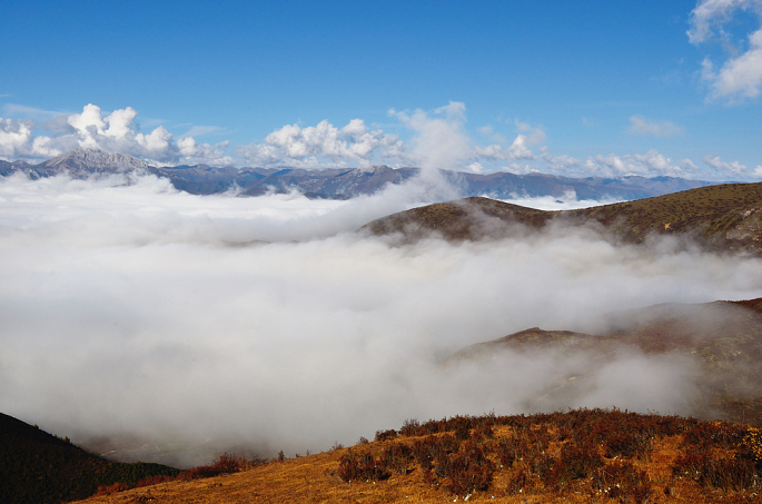 ཞིང་བ་མང་ཚོགས་ཡུལ་སྐོར་དུ་བསྐྱོད་པར་སྟབས་བདེ་བཟོས།