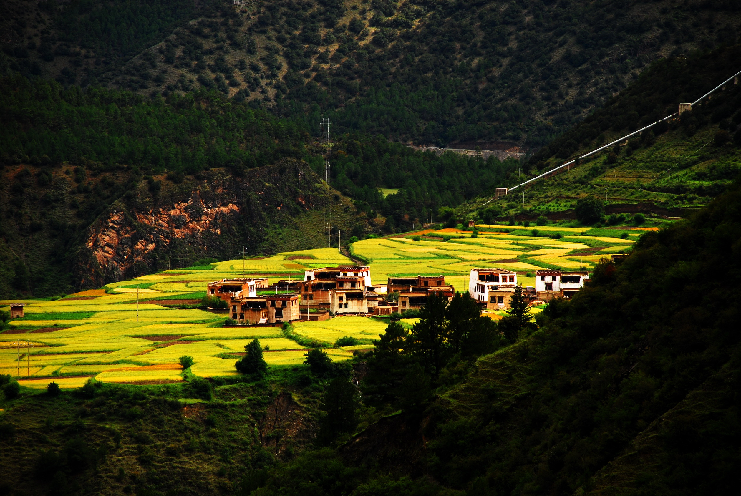 ཕྱག་ཕྲེང་རྫོང་གིས་མཚན་མོ་སློབ་གྲྭ་བཙུགས་ནས་ཞིང་འབྲོག་མང་ཚོགས་ལ་ཚོགས་ཆེན་བཅུ་དགུ་པའི་དགོངས་དོན་སྒྲོག་འགྲེལ་བྱས།