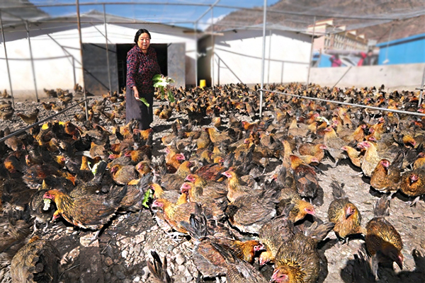 གསོ་ཚགས་དང་འདེབས་འཛུགས་ལས་རིགས་འཕེལ་རྒྱས་བཏང་ནས་མང་ཚོགས་དབུལ་གྲོལ་ལམ་དུ་ཁྲིད་པ།