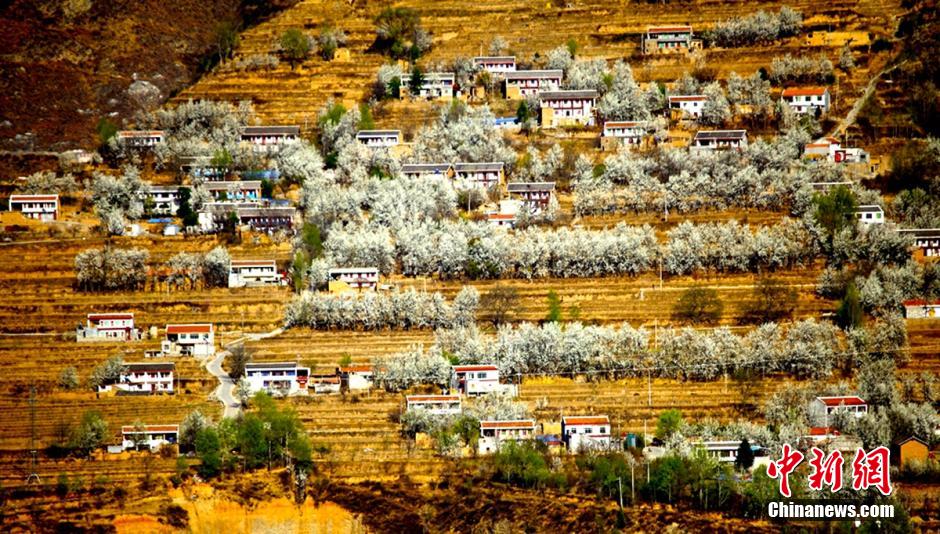 དཀར་མཛེས་ཁུལ་གྱིས་ཚན་རྩལ་མི་སྣའི་བྱ་གཞག་གསར་གཏོད་ཀྱི་སྲིད་ཇུས་བཏོན།