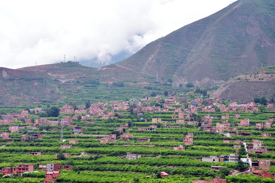  མའོ་རྫོང་གིས་ཞིང་ལས་ཐོན་ལས་ཀྱི་སྒྲིག་གཞི་ལེགས་སྒྲིག་བྱས་པ། 
