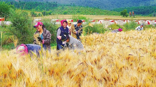 སྤྱི་ཁྱབ་ཧྲུའུ་ཅི་ཞི་ཅིན་ཕིང་གི་དབུལ་སྐྱོར་ལས་དོན་སྐོར་གྱི་མཛུབ་ཁྲིད་དགོངས་དོན་ལག་བསྟར་དོན་འཁྱོལ་བྱ་རྒྱུ་ཡིན་པ།