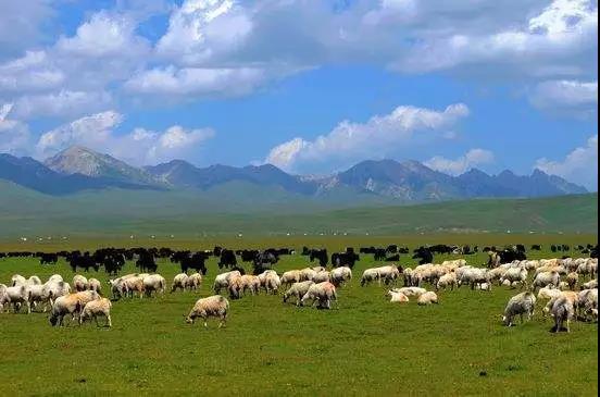 གཞན་བརྟེན་ཙམ་གྱིས་དབུལ་སྒྲོལ་ཡོང་བ་དཀའ།