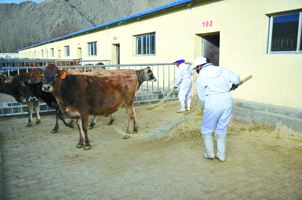 ཐོན་ལས་དར་ཞིང་རྒྱས་། ལས་ཞུགས་གདམ་ག་མང་།