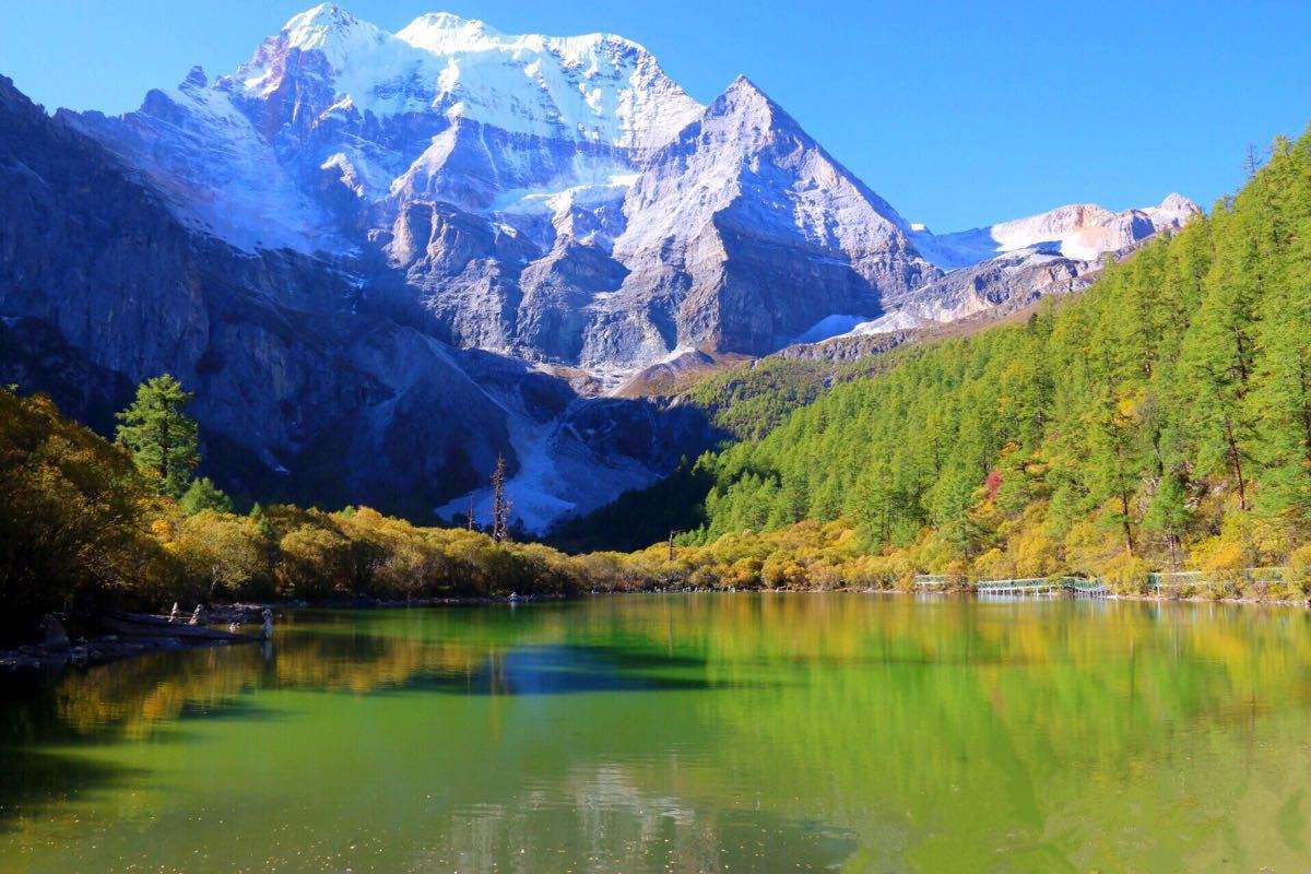 རྔ་པས་ལྗང་མདོག་འཕེལ་རྒྱས་ལ་བརྟེན་ནས་བདེ་སྐྱིད་ཀྱི་སྒྲོན་མེ་སྤར་བ།