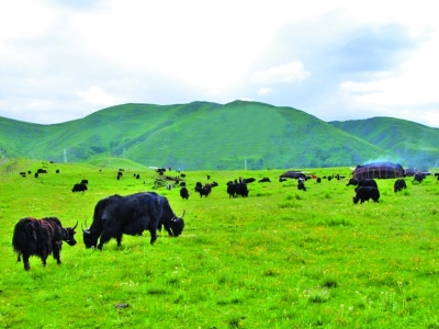 ཞིང་ལས་པུས་འབྲོག་ལས་འཕེལ་རྒྱས་ཀྱི་དཔེ་དབྱིབས་གསར་པ་གཏོད་དགོས་ལུགས་བཏོན་པ།