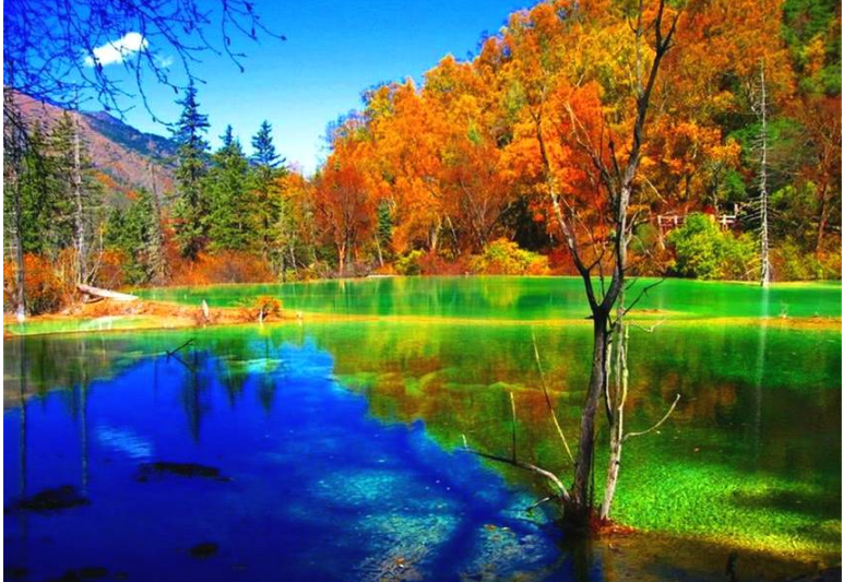 གཟི་རྩ་བསྐྱར་སྐྲུན་ལེགས་འགྲུབ་བྱུང་བ།
