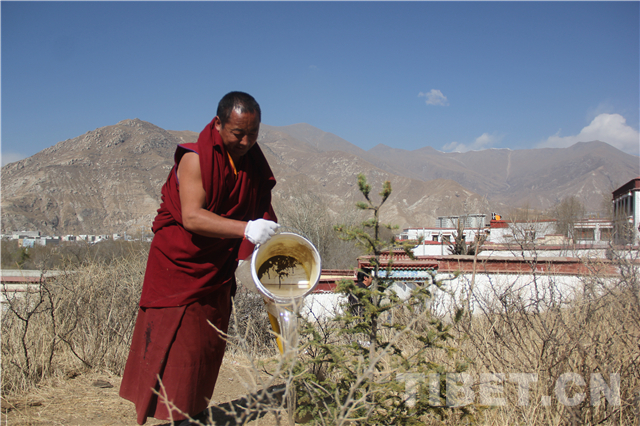 བོད་ལྗོངས་སེ་ར་དགོན་པས་མི་རིགས་མཐུན་སྒྲིལ་གྱི་ཤིང་སྡོང་བཙུགས་ནས་མཛེས་སྡུག་ལྡན་པའི་འཚོ་བ་མཉམ་གླེང་བྱས།