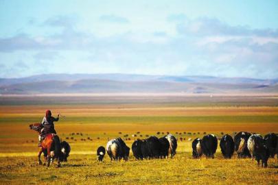 དབུལ་ཐར་གྱི་ཐབས་ལམ། ནུས་རྩལ་གྱི་གསོ་སྦྱོང་། 