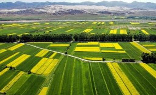 སྤུས་ཚད་མཐོ་བའི་འཕེལ་རྒྱས་དེ་བརྒྱུད་རིམ་ཧྲིལ་པོའི་ཕྱོགས་སོ་སོར་དོན་འཁྱོལ་བྱ་དགོས། 