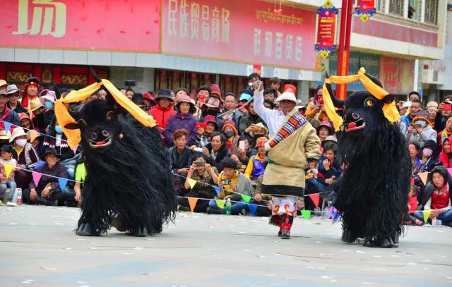 ཛམ་བྷ་ལའི་སྐོར་བྲོ་འགྲན་ཚོགས་ཆེན་པོ།