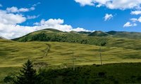 གསེར་ཐར་རྫོང་གིས་དཔྱིད་དུས་ཀྱི་དབུལ་ཐར་འགག་སྒྲོལ་ལས་ཀ་སྤེལ་འགོ་ཚུགས།