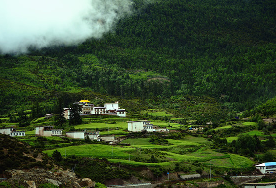 ལི་ཐང་རྫོང་གིས་ཤིང་སྡོང་ཁྲི་ལྔ་བཙུགས་ནས་མཛེས་སྡུག་ལྡན་པའི་ཁྱིམ་གཞིས་བསྐྲུན།