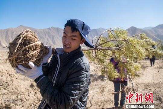 ལྷ་ས་རུ་ཐོག་མར་རྒྱ་མཚོའི་ངོས་ལས་མཐོ་ཚད་སྨི་4300ཡན་གྱི་ས་ཆ་རུ་སྡོང་ཕྲུག་ འཛུགས་པ།