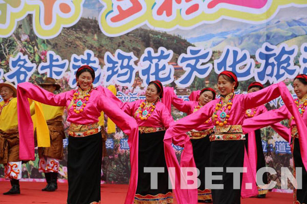 རྟའུ་རྫོང་དུ་སྟག་མའི་མེ་ཏོག་རབ་ཏུ་བཞད་པ། 