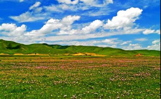 མཛོད་དགེས་རྩྭ་ས་བྱེ་འགྱུར་ལ་བཅོས་སྐྱོང་བྱས་ནས་ཕན་འབྲས་བླངས་པ།