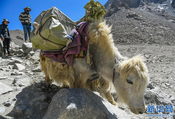 གངས་རིན་པོ་ཆེའི་ཁུལ་གྱི་ཞིང་འབྲོག་པའི་ཕྱུག་འགྱུར་ལམ་བུ།